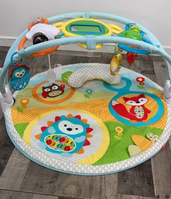 Skip Hop Explore & More Activity Gym